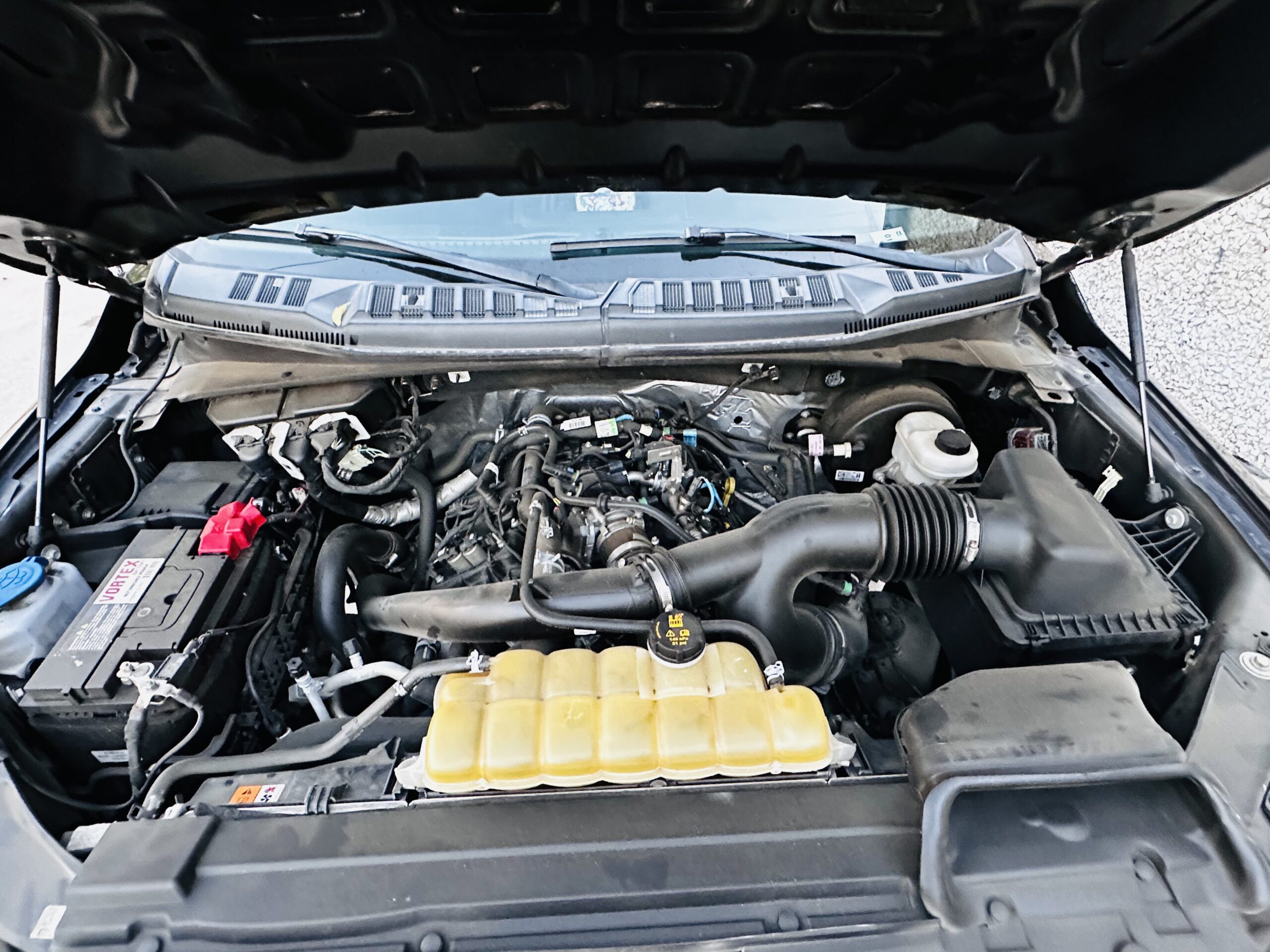 2019 Ford F-150 XL - Photo 9